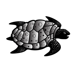 Old turtle