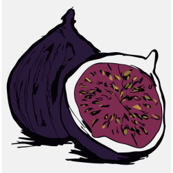 fig
