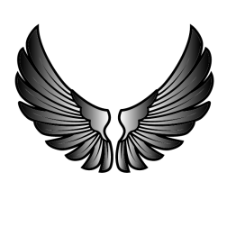 Feather wings
