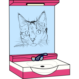 Bathroom mirror (Зеркало с умывальником в ванную комнату)