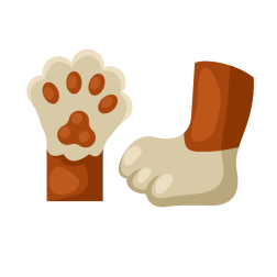 Cat paw
