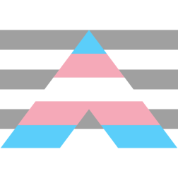 Trans Ally Flag