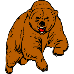 Bear 5