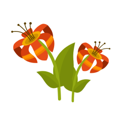 Tropical flowers