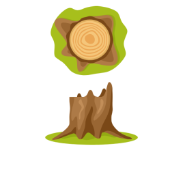 Tree stumps