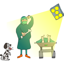 Wish Bone