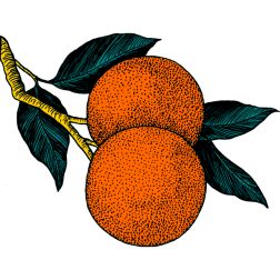 Orange 2