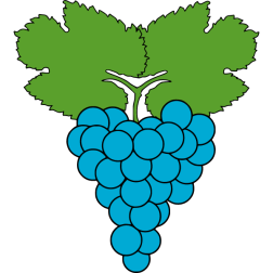Grapes 2