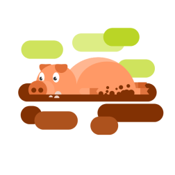 Pig in the mud