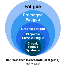 Population with chronic fatigue syndrome and types of fatigue