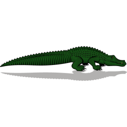 Crocodile (more detailed version)