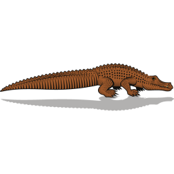 Crocodile (simpler version)