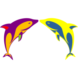 Two dolphins are playing