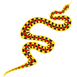 Snake 1