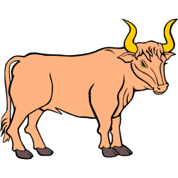 Bull 3