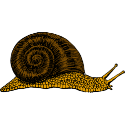 Snail 2