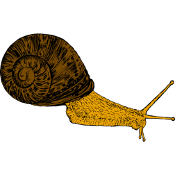 Snail 3