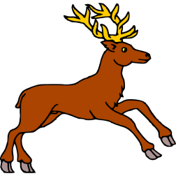 Deer 11