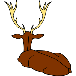 Deer 12