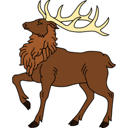 Deer 6