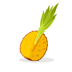 Pineapple fruit slice
