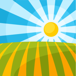 Sunny fields