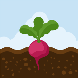 Beet-1693834438