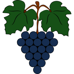 Grapes 1