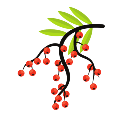Rowan branch