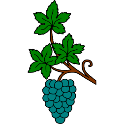 Grapes 8