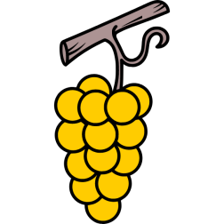 Grapes 10