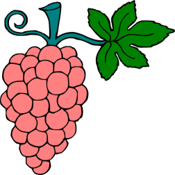 Grapes 11