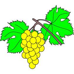 Grapes 12