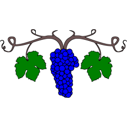Grapes 13