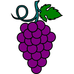 Grapes 14