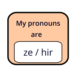 Ze hir pronouns orange badge