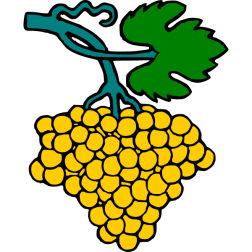 Grapes 15