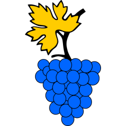 Grapes 16