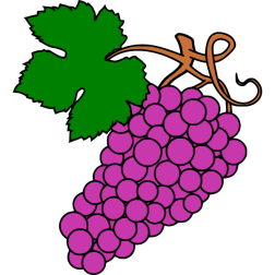 Grapes 17