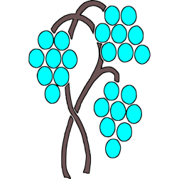 Grapes 18