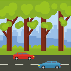 Forest by the road