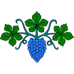 Grapes 20