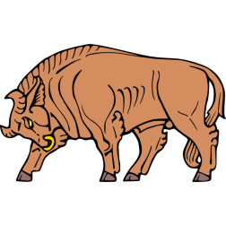 Bull 4