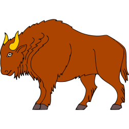 Bull 5