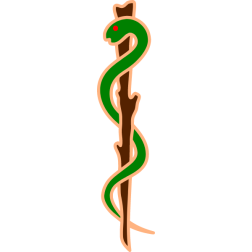 Snake 6