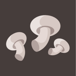 Champignons-1698041405