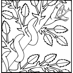 Snake 9a