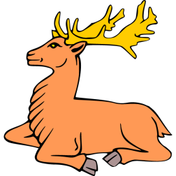 Deer 23