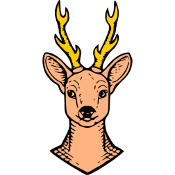 Deer 24
