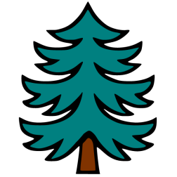 Pine 1b